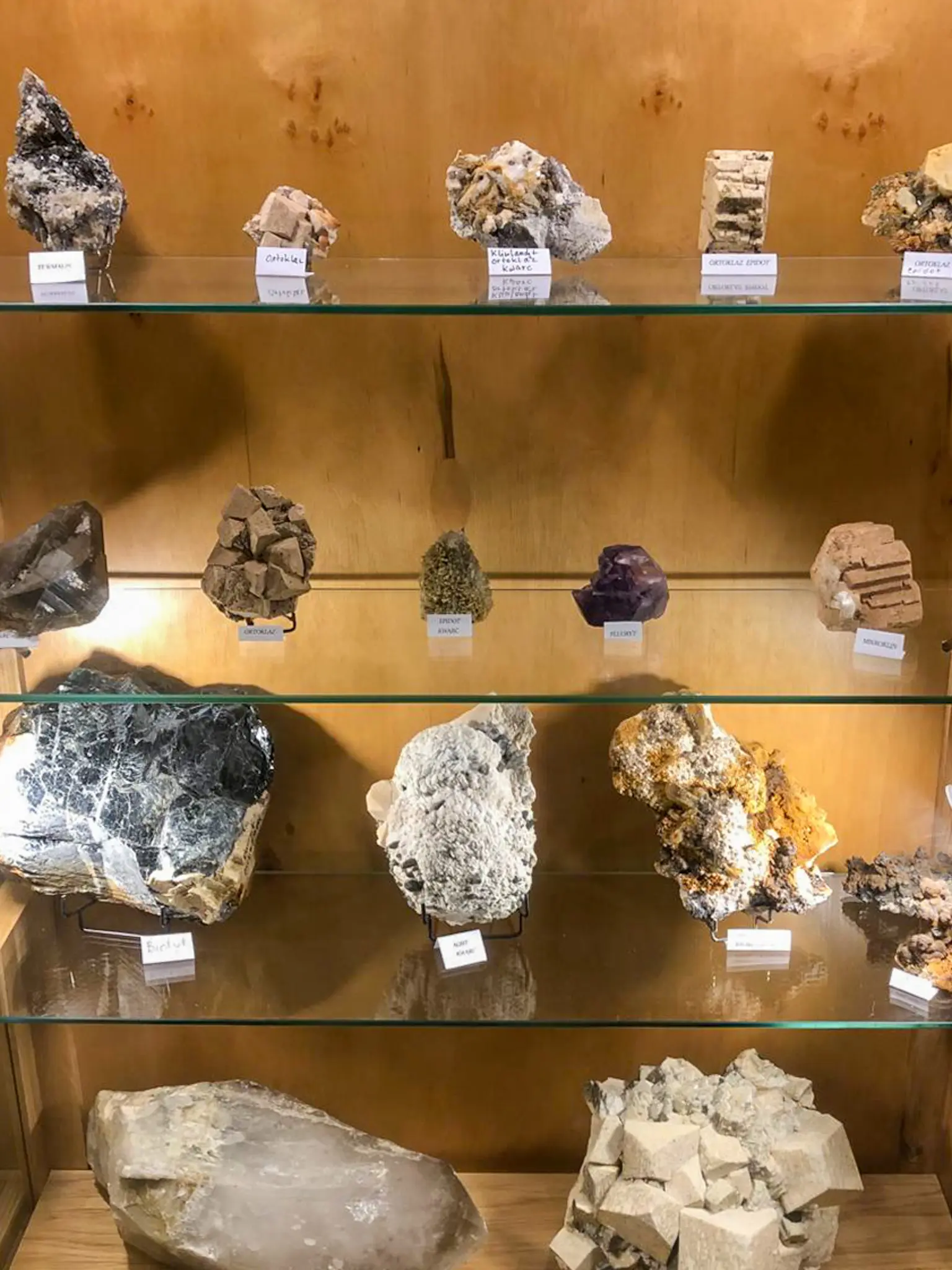 Gablota z okazami w Muzeum Minerałów