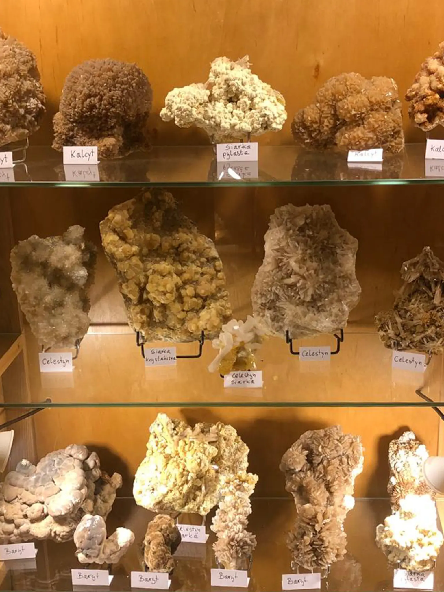 Gablota z okazami w Muzeum Minerałów