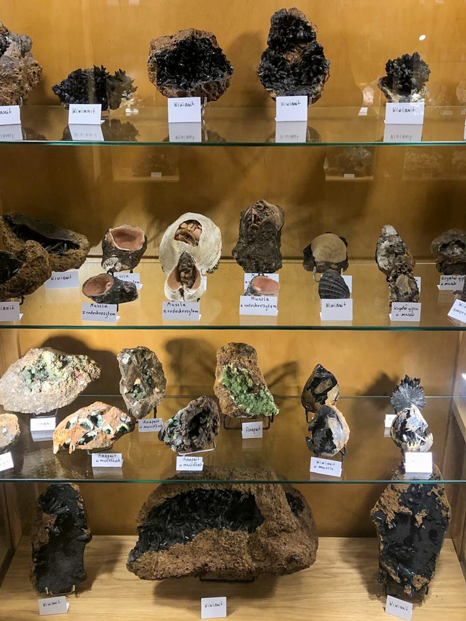 Gablota z okazami w Muzeum Minerałów