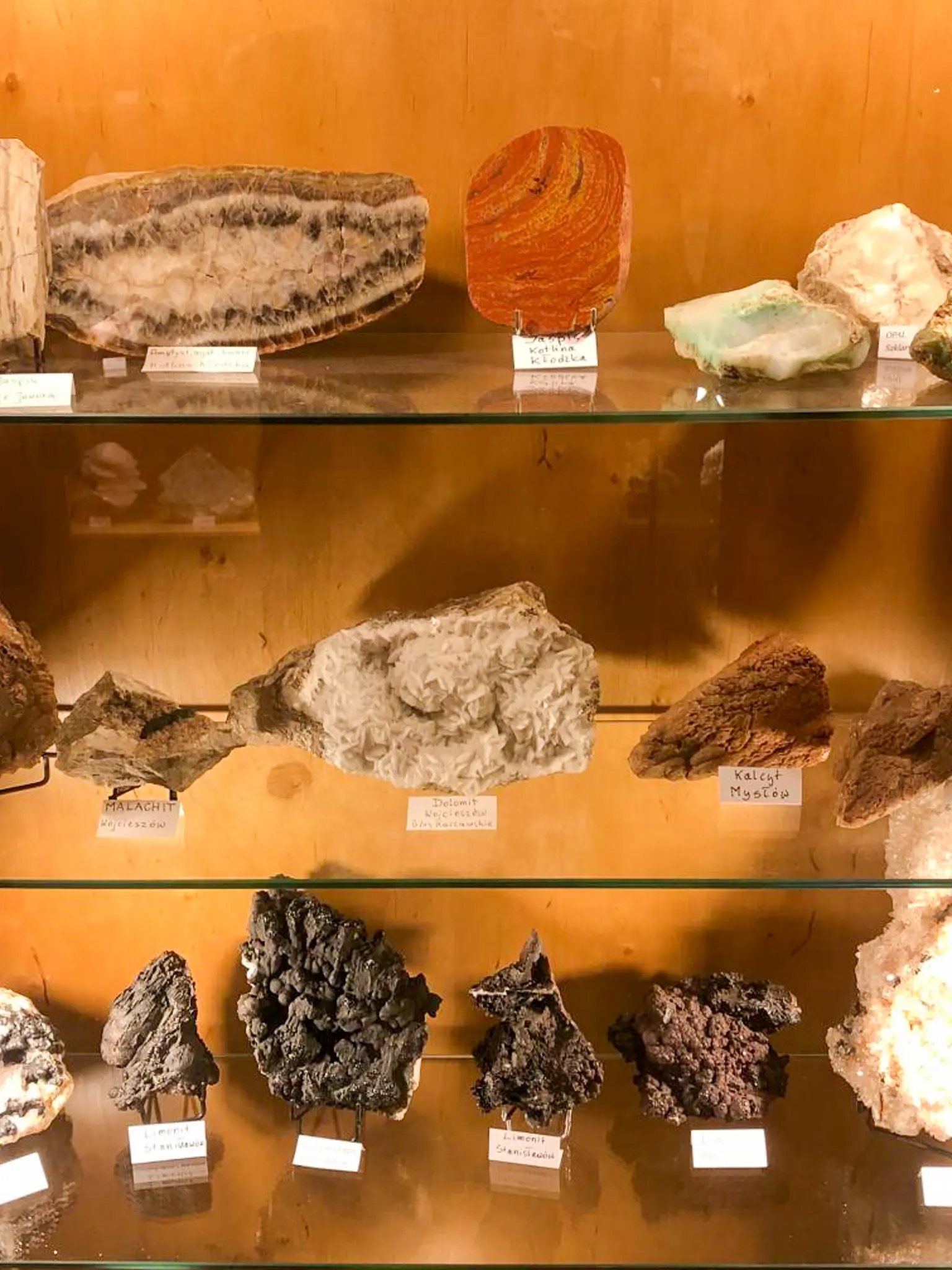 Gablota z okazami w Muzeum Minerałów